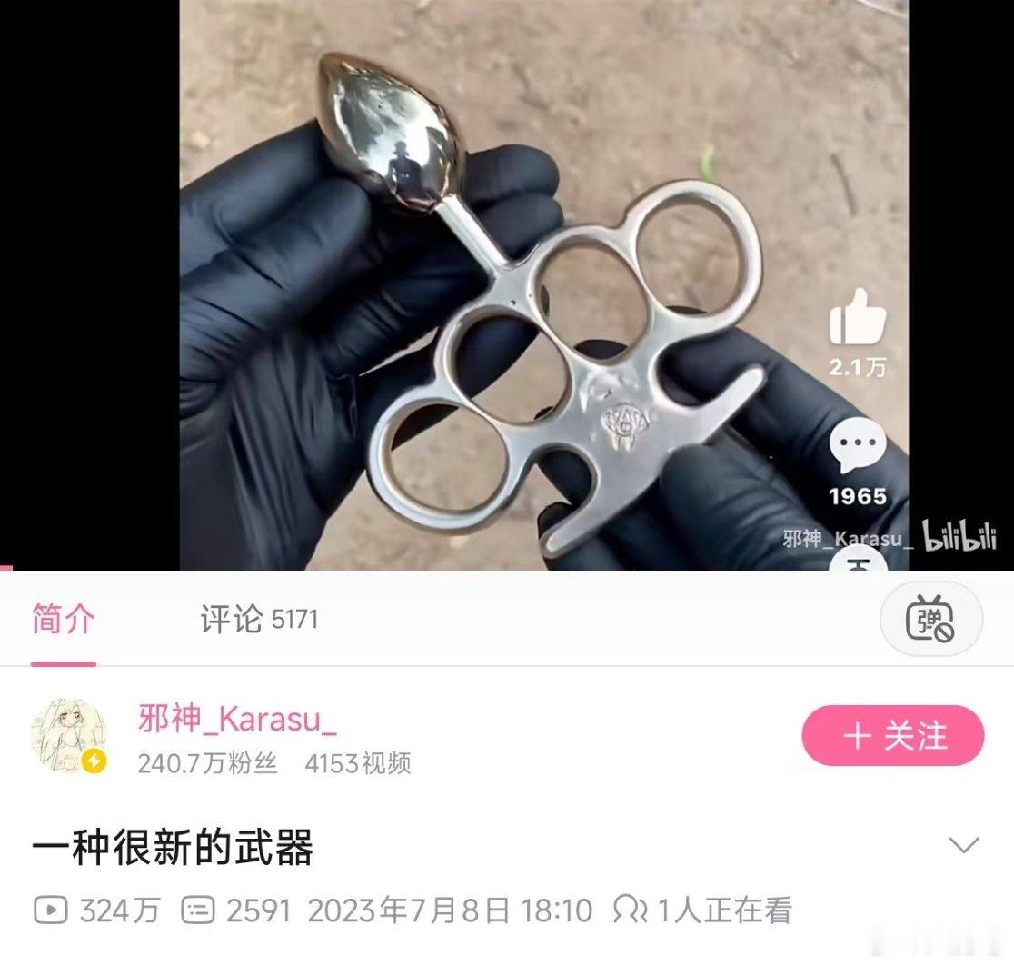 ？这东西怎么用 