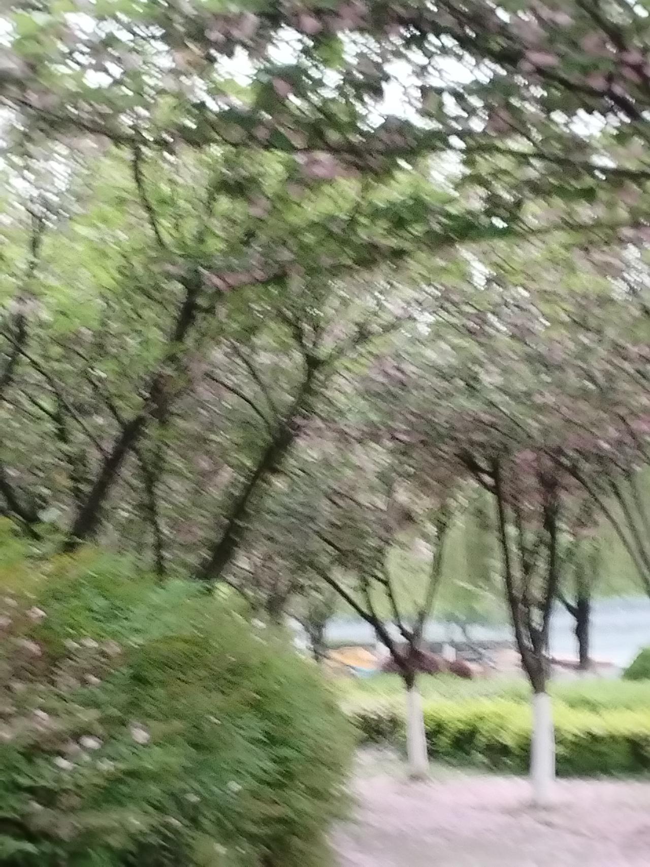 上联：山中易见千年树，
下联：海底难寻万载石。

注释：
“千年树”指生长千年的