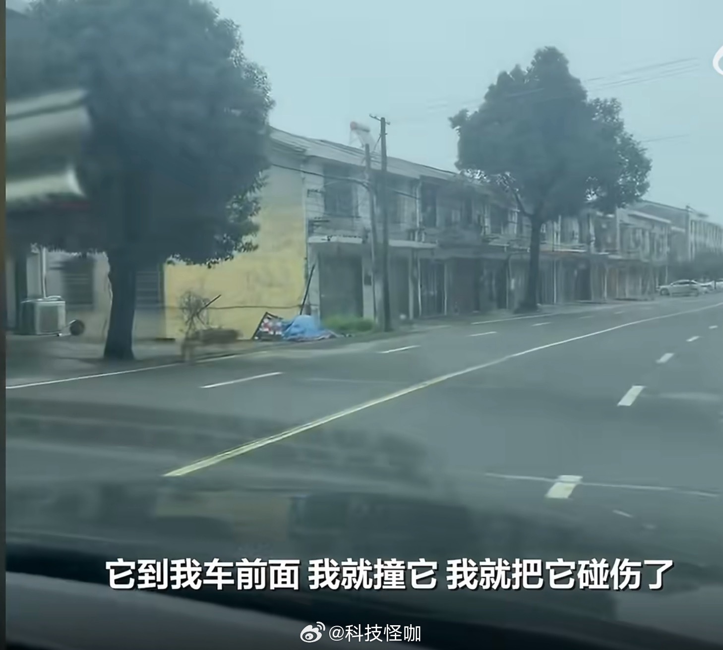 父亲被女儿百斤犬咬住院狗被安乐死 无论是狗主人还是宠物医院都受到了爱狗人士的攻击