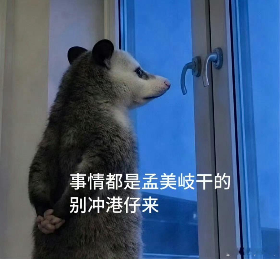孟美岐粉丝孟美岐一人做事一人当，孟美岐粉丝不怕事不惹事也不担事谢谢☺️ 