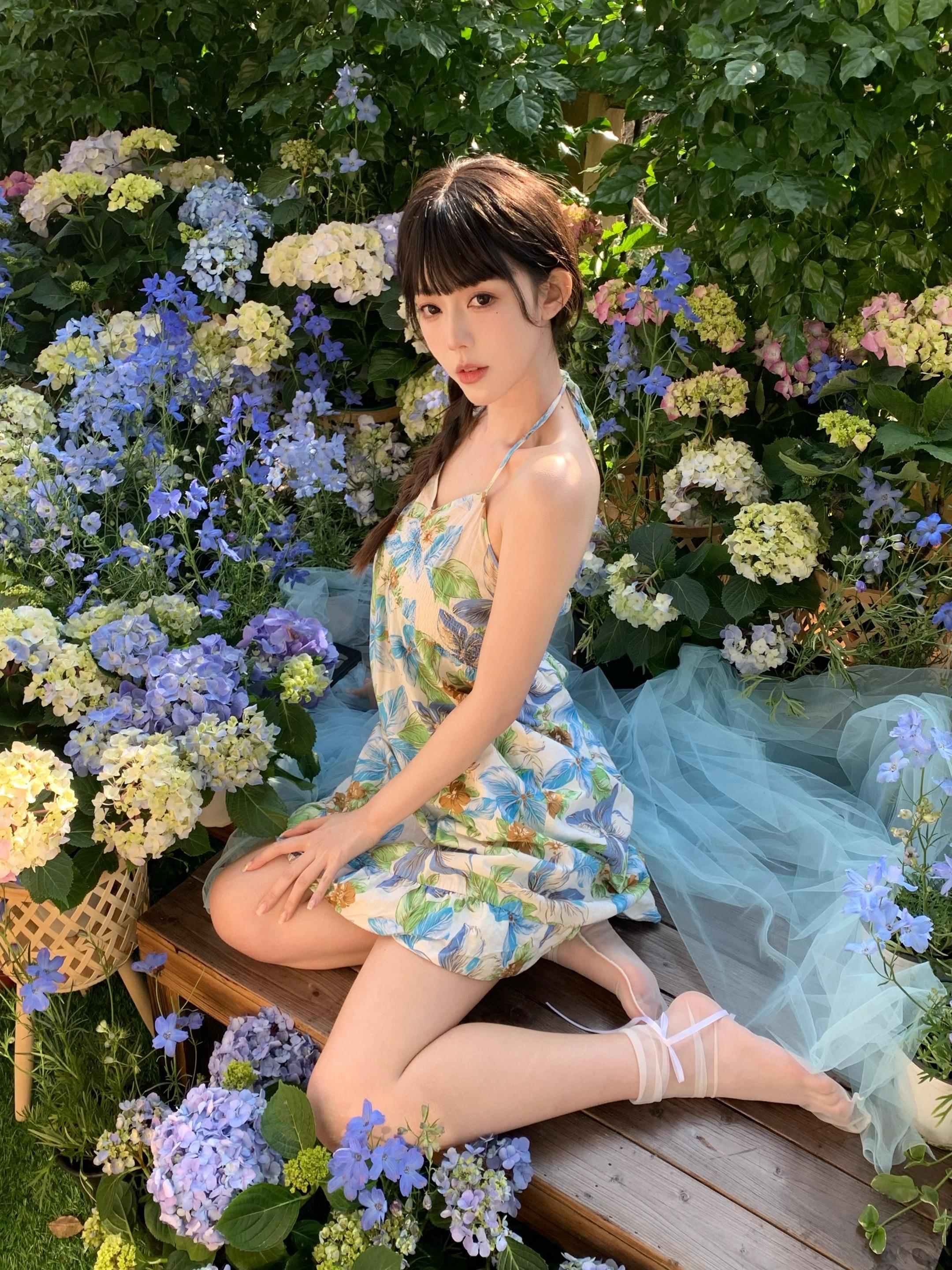 🫐🍃花开无尽夏