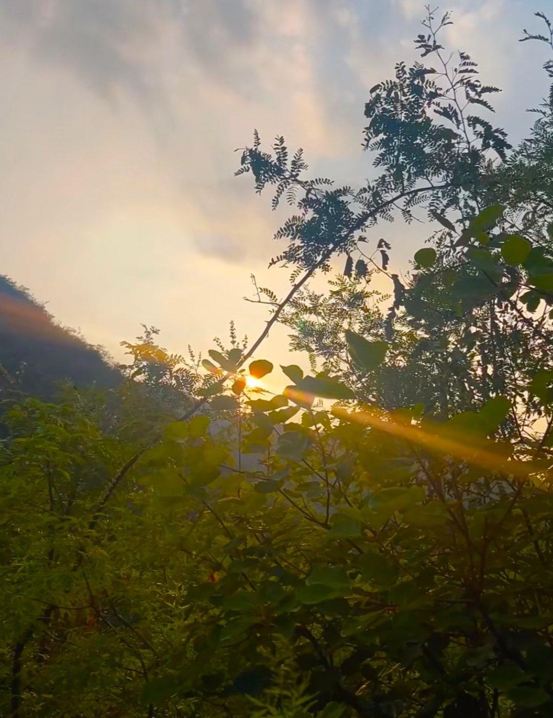 在焦作发现了一座风景绝美的山
还见到了身处大山深处的一个小村落
1️⃣地址📍: