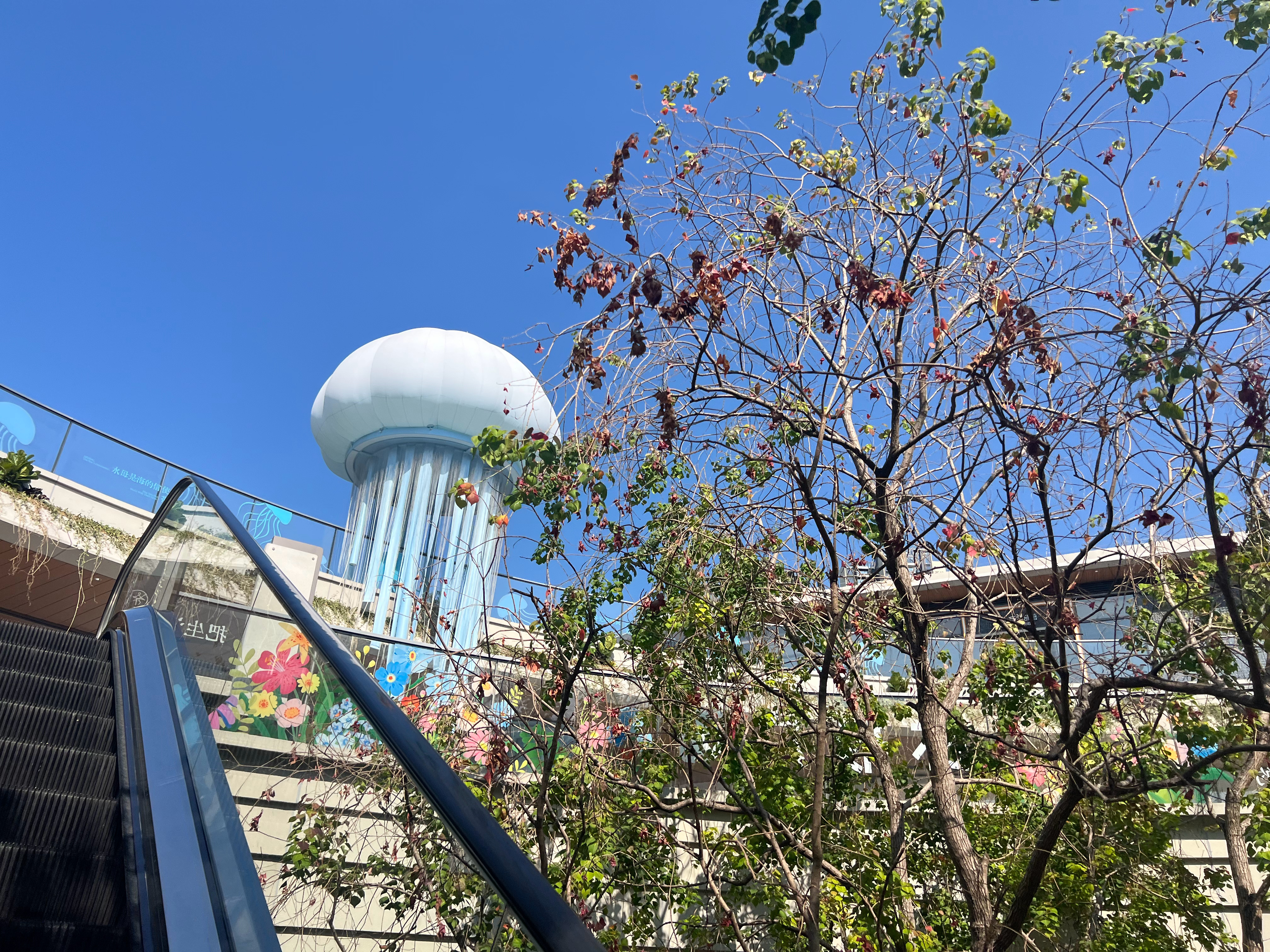 纯净的人品、利他的性格、真诚的情商、适当的能力。有敢于突破勇于创新的“胆”，有对