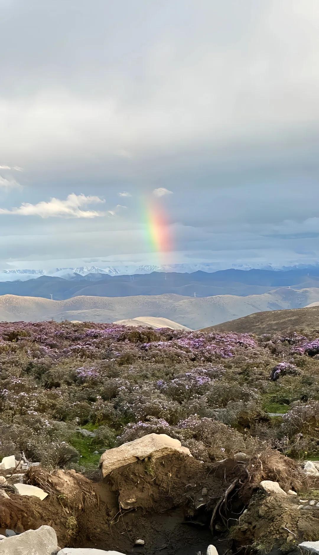“深圳-香港”单身群，我的法式态度，脱单
深港联动｜周日赴一场跨城的心动交友局?