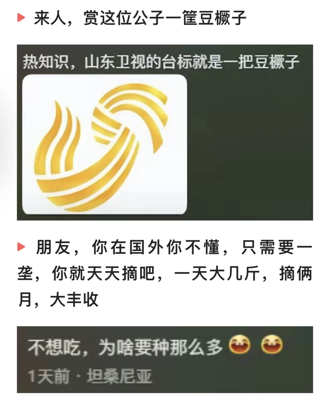 吃不完的豆橛，山东卫视台标就是一把豆橛子