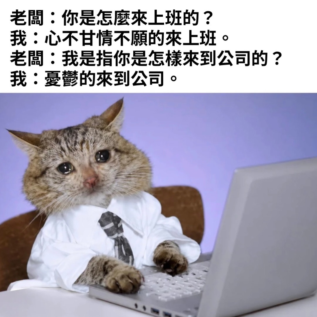 诚实可贵memes