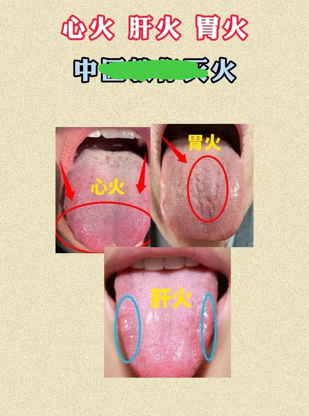 每天跟我涨知识 舌苔 拒绝废话科普冷知识省流