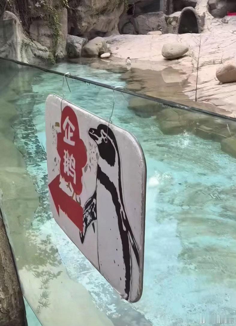 我本以为我累成这样刷到什么视频都不会笑的 ​​​