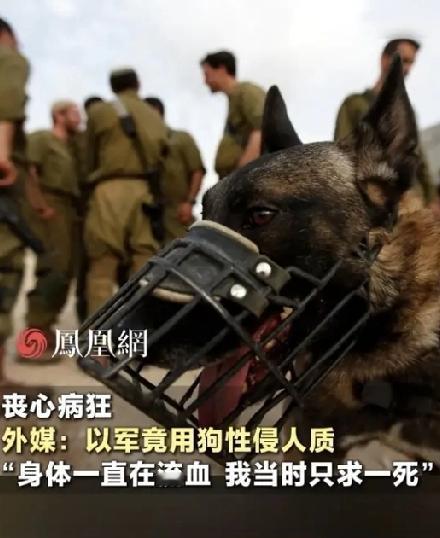 离谱到刷新三观！以军虐囚黑料被扒，手段简直没人性
 
谁也想不到现代文明社会里，