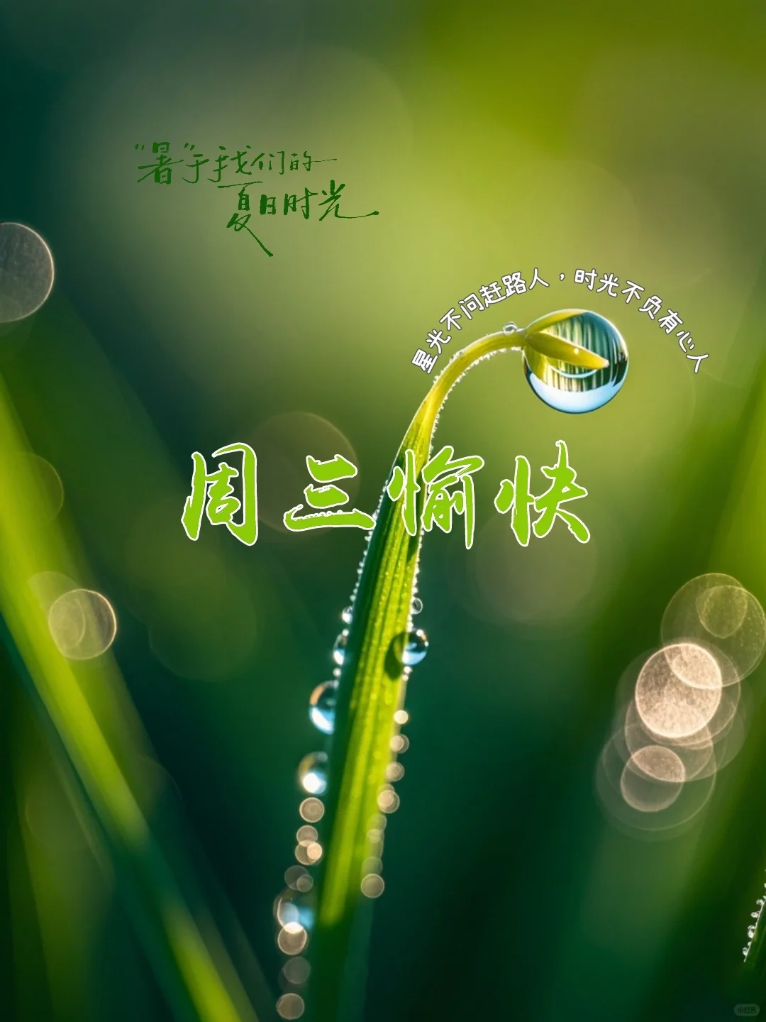 周三愉快｜早安语录｜海报设计｜朋友圈文案