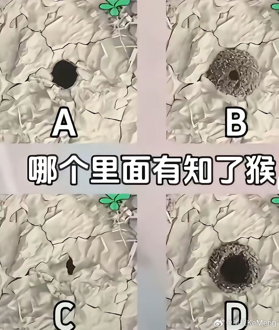 按您的经验，哪种洞里会有知了猴？ 