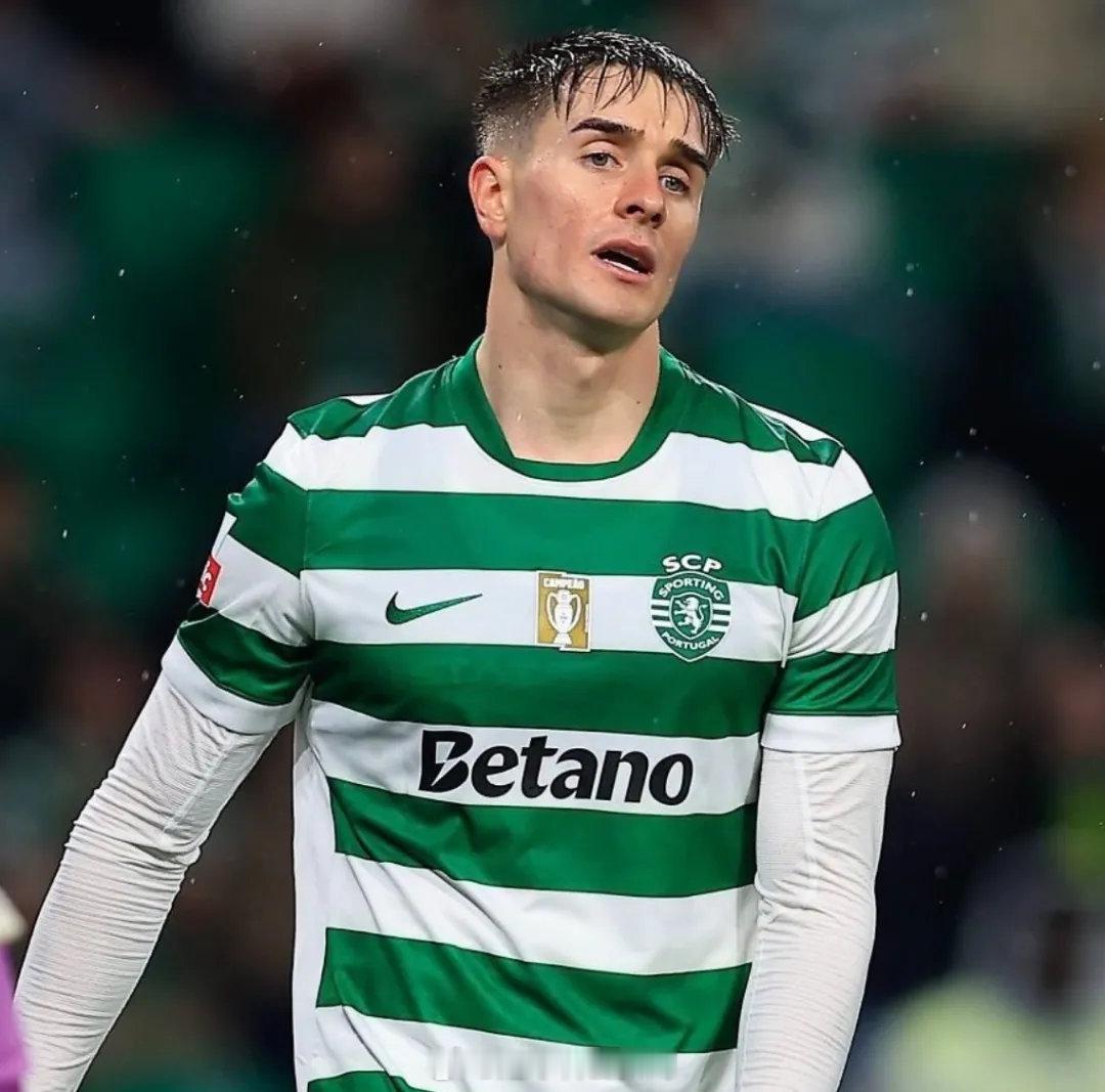 太阳报阿森纳跟队记者SC消息，阿森纳正在追求弗雷斯内达，他们正寻求在今夏收购一名