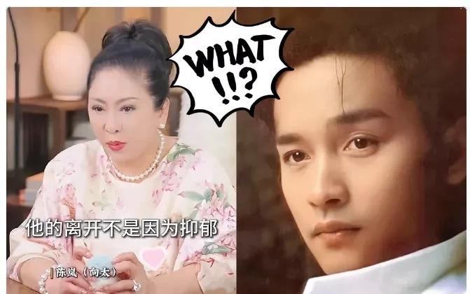 张国荣否认抑郁后跳楼！

向太爆雷他最后一句“我没事”

“我没事”三个字，像一