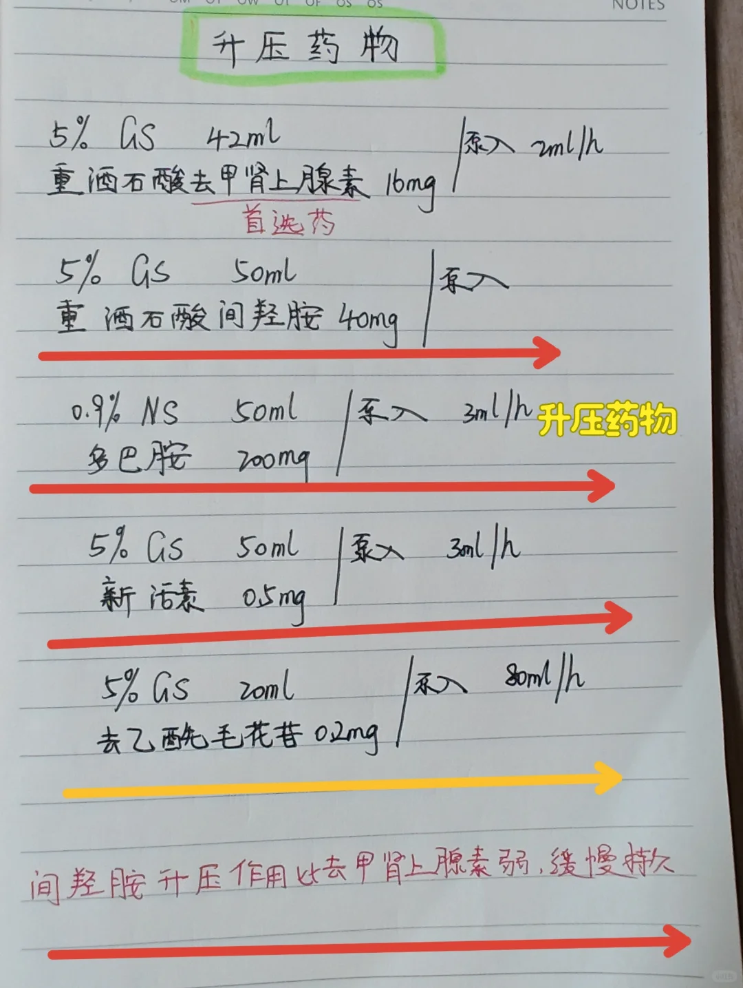 值班分享‖升压药物