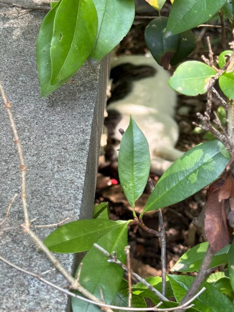 运动day打卡嘀嗒嘀 练球🎾。晚上也很热，我教练打着打着流鼻血啦，看来已经出梅
