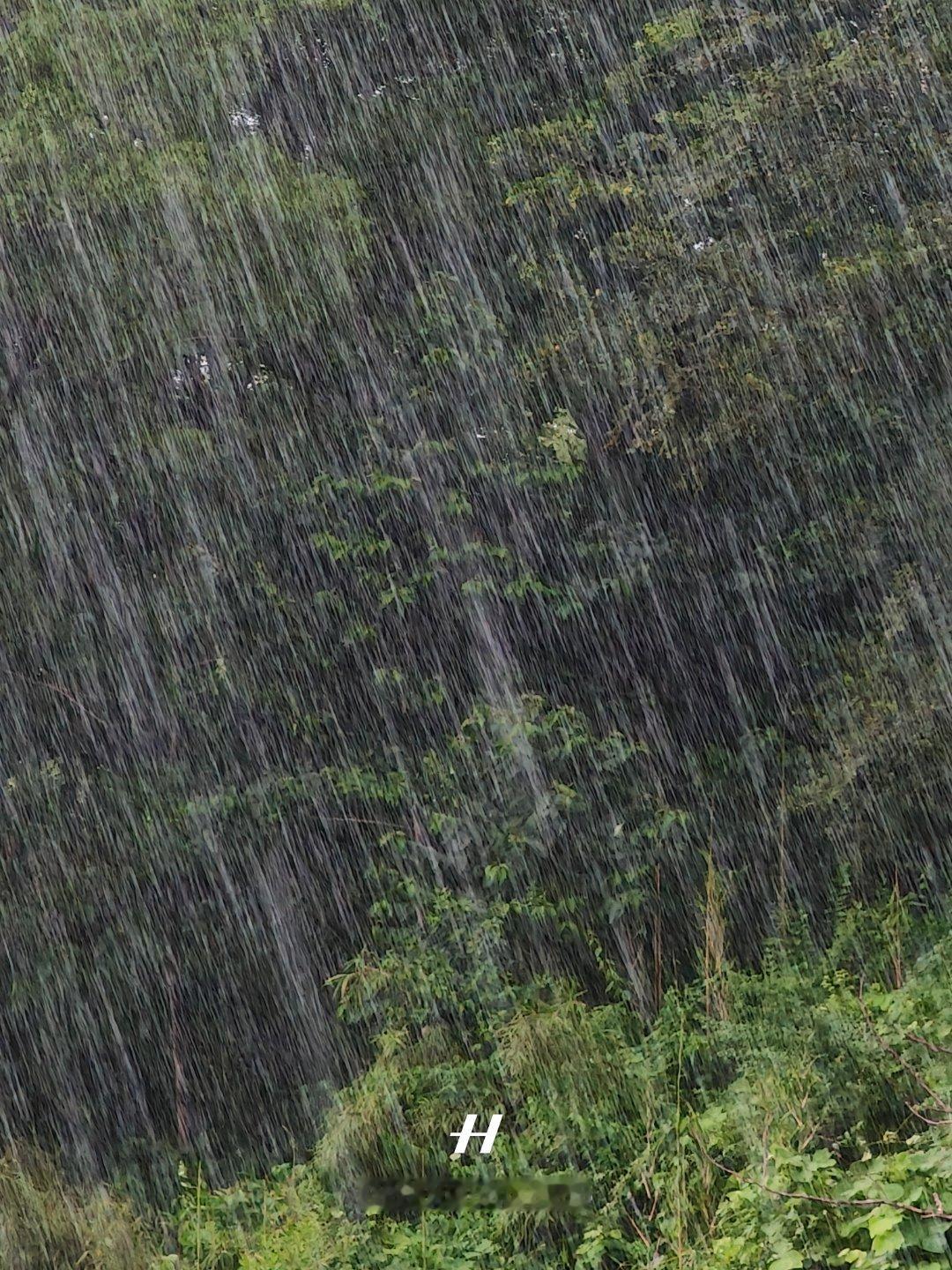 早，昨天还狂风暴雨今天就艳阳高照，台风丹娜丝过去了每天早起打卡 ​​​