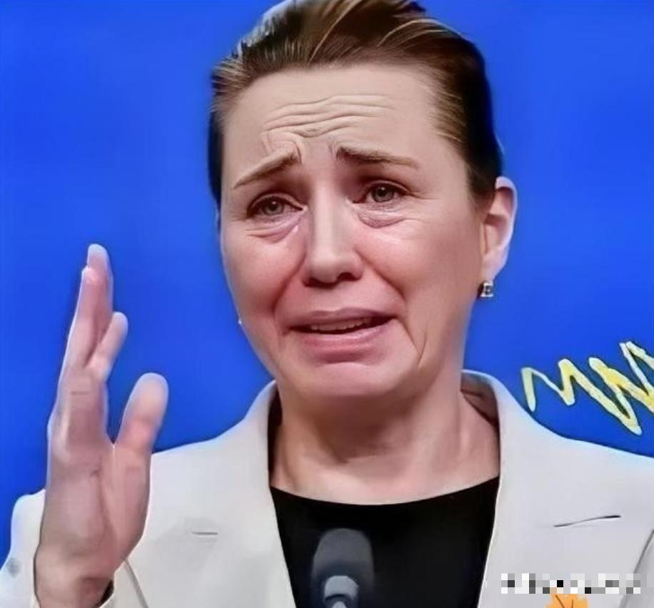 丹麦政府痛恨中国，丹麦的外交大臣拉斯穆森表示，过去不允许中国对格陵兰岛投资，现在