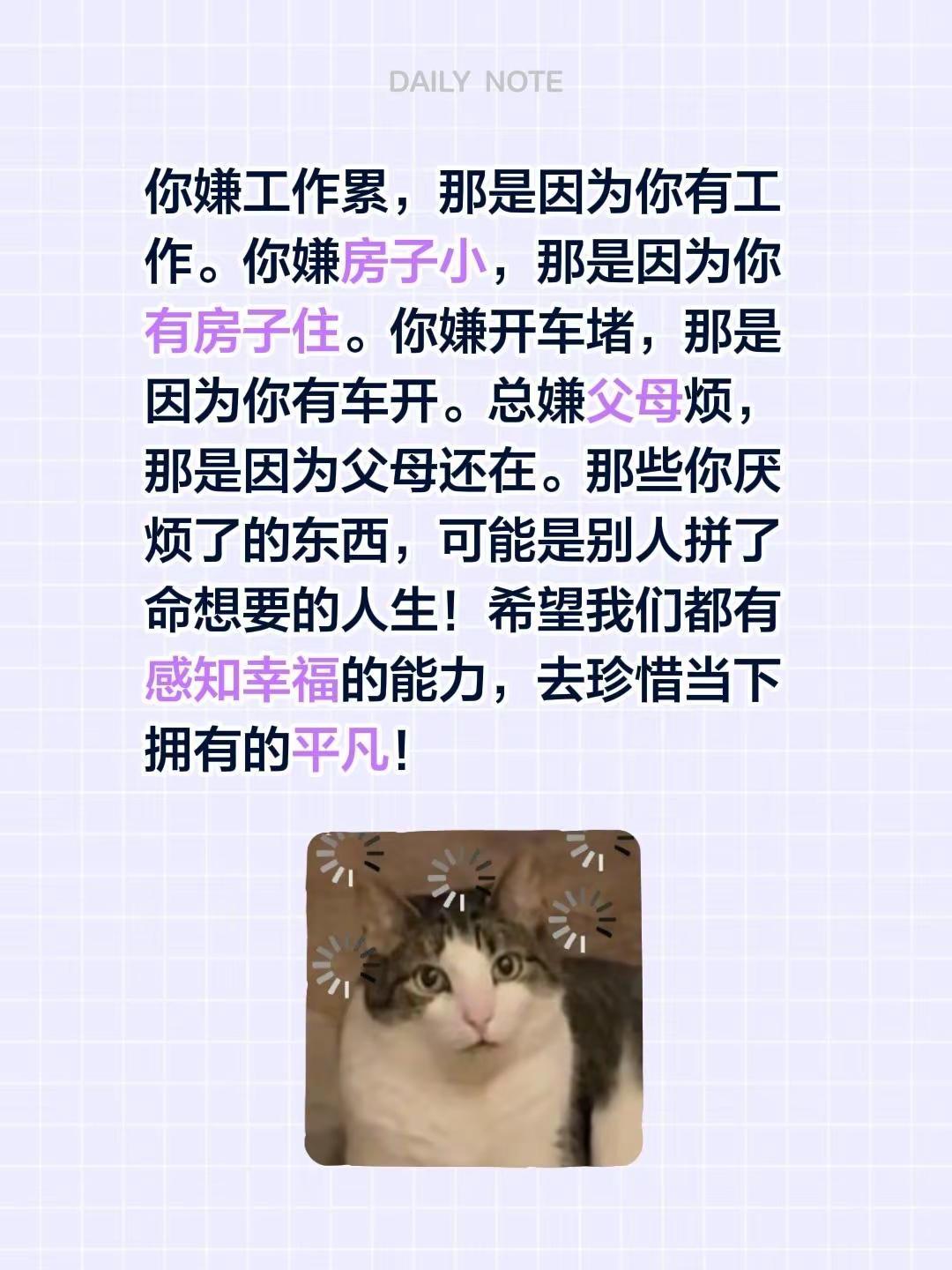 蓝光聊天记录。我评论了@简静 的作品：你嫌工作累，那是因为你有工作。你嫌房子小，