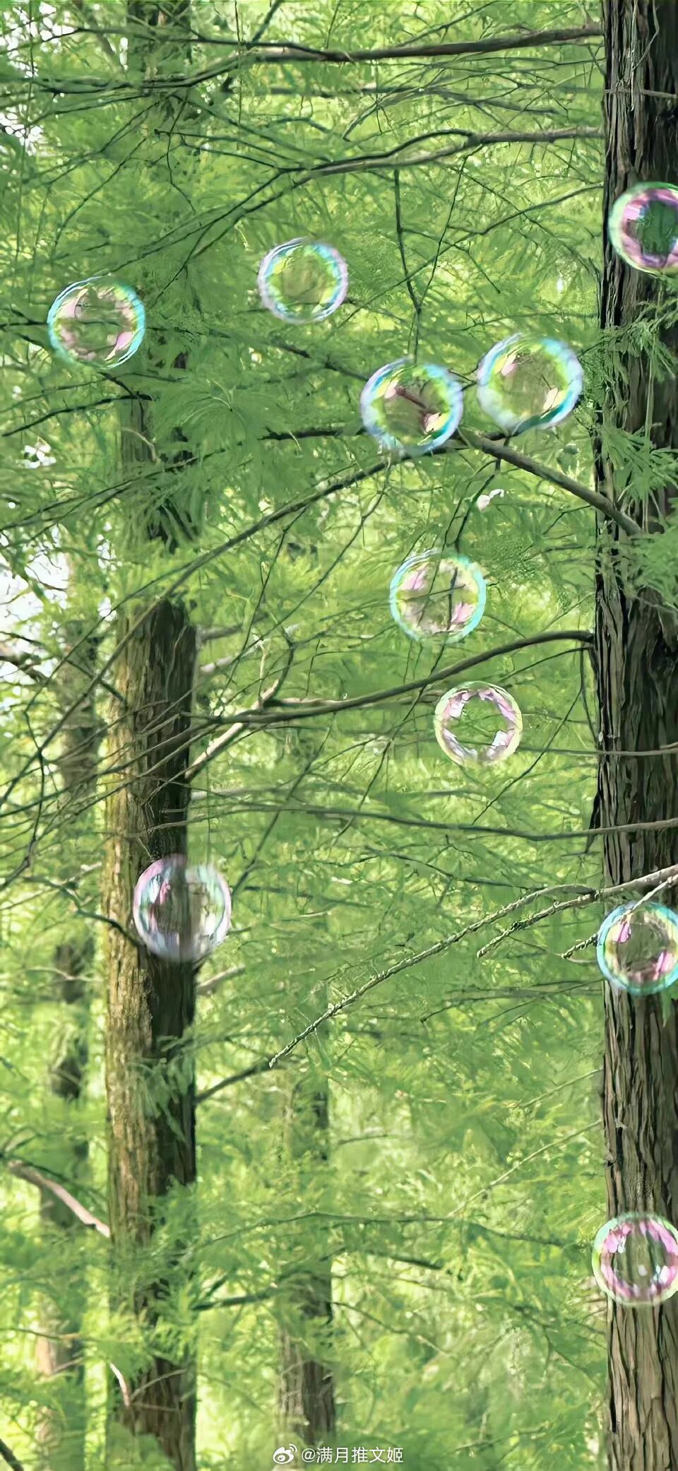 堤坝上有兜卖风筝的小贩，他们在预售春天。——德卡先生早安