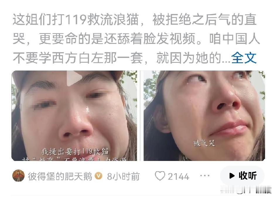 打119救流浪猫被拒还哭着发视频吐槽，这波操作真的看不懂！
这个女子难道不知道消