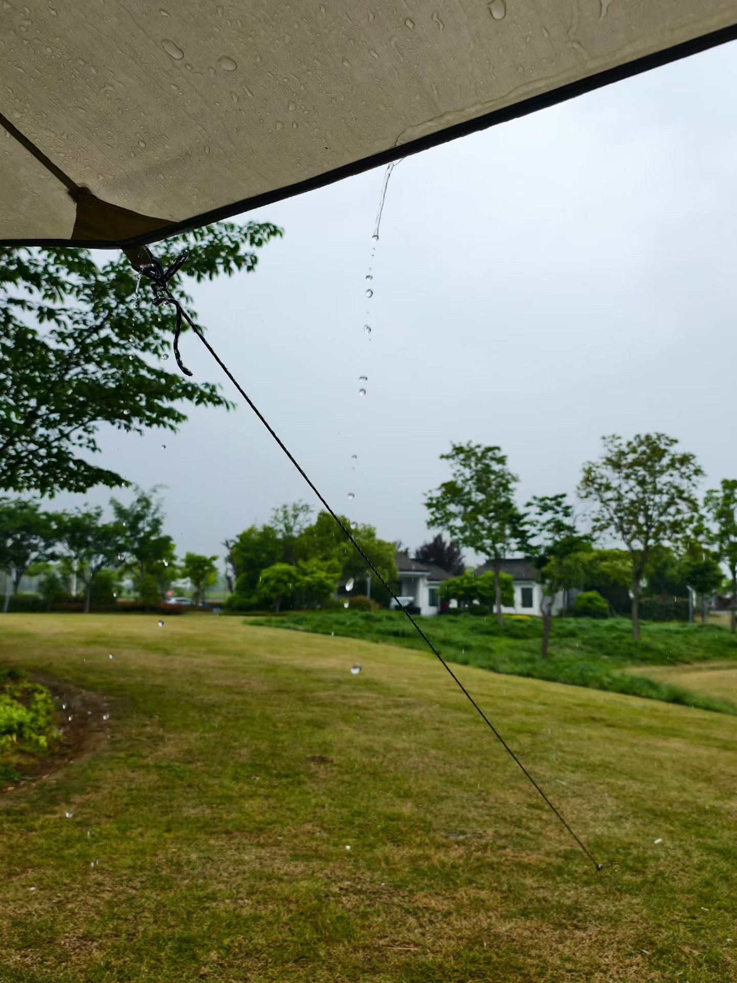 下雨天和BBQ更搭哦…焦焦的也很好吃