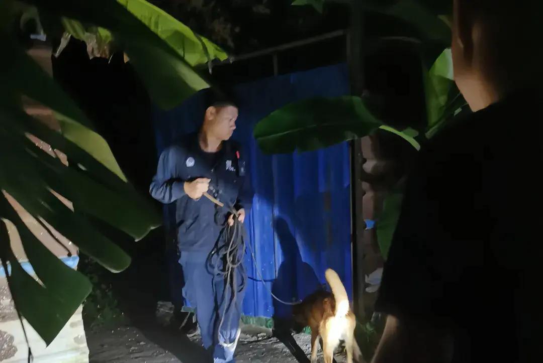 深圳一家原本做小配件的小老板，半路改行做了一种专撞别人无人机的“空中杀手”。谁也