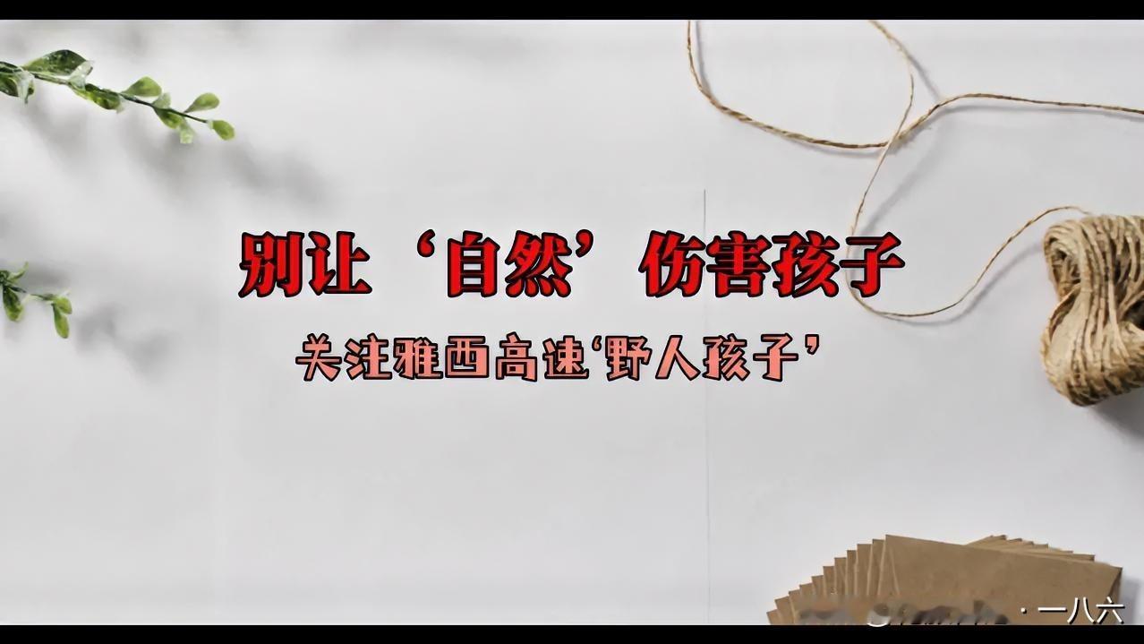 刷到雅西高速“野人孩子”的报道——3岁娃光着身子在地上爬，饿了就直接啃面包，我盯