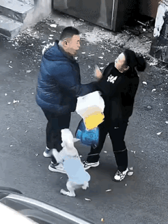 逆子打母亲，狗狗护主人。
逆子既然不能换，还是再养一只藏獒为好。