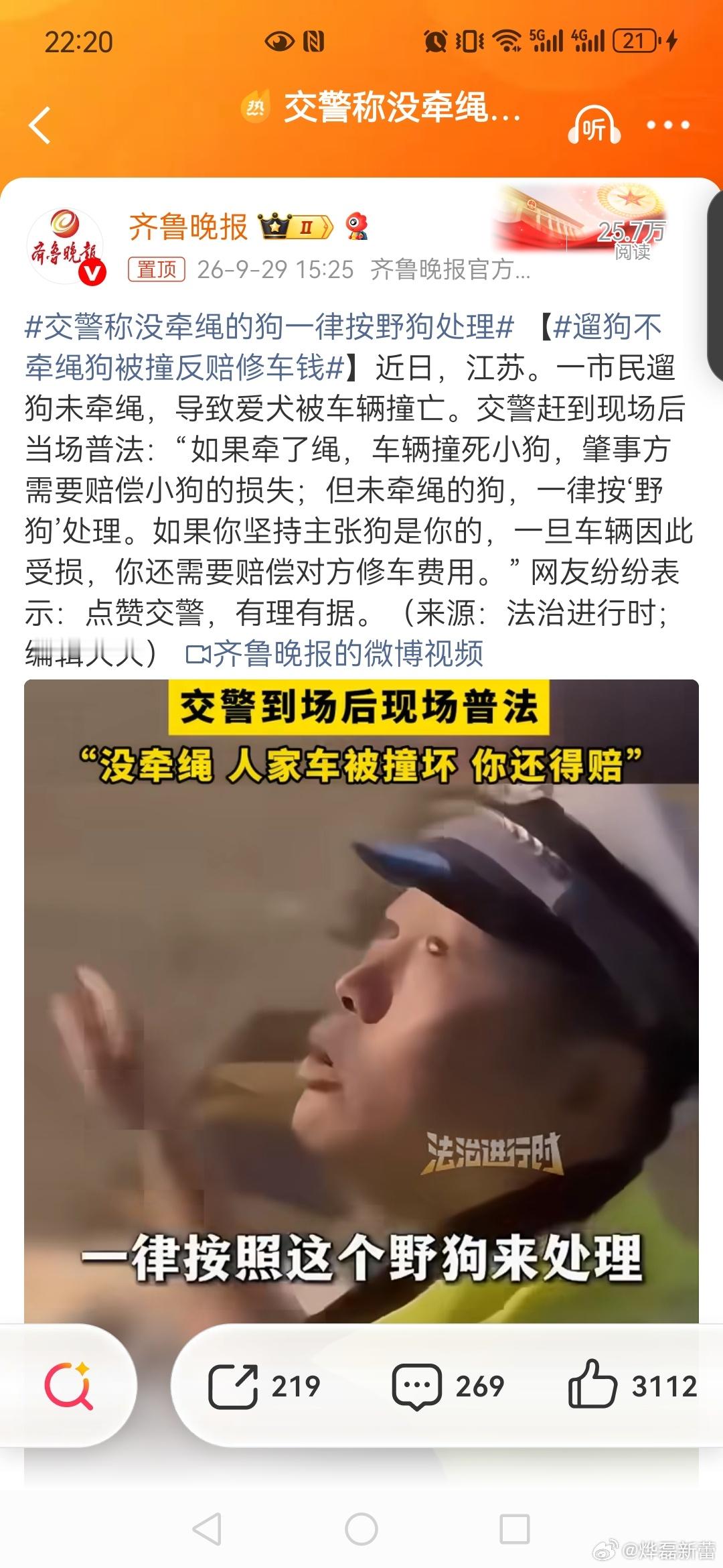 交警称没牵绳的狗一律按野狗处理 【遛狗不牵绳狗被撞反赔修车钱普法讲堂 】狗在马路