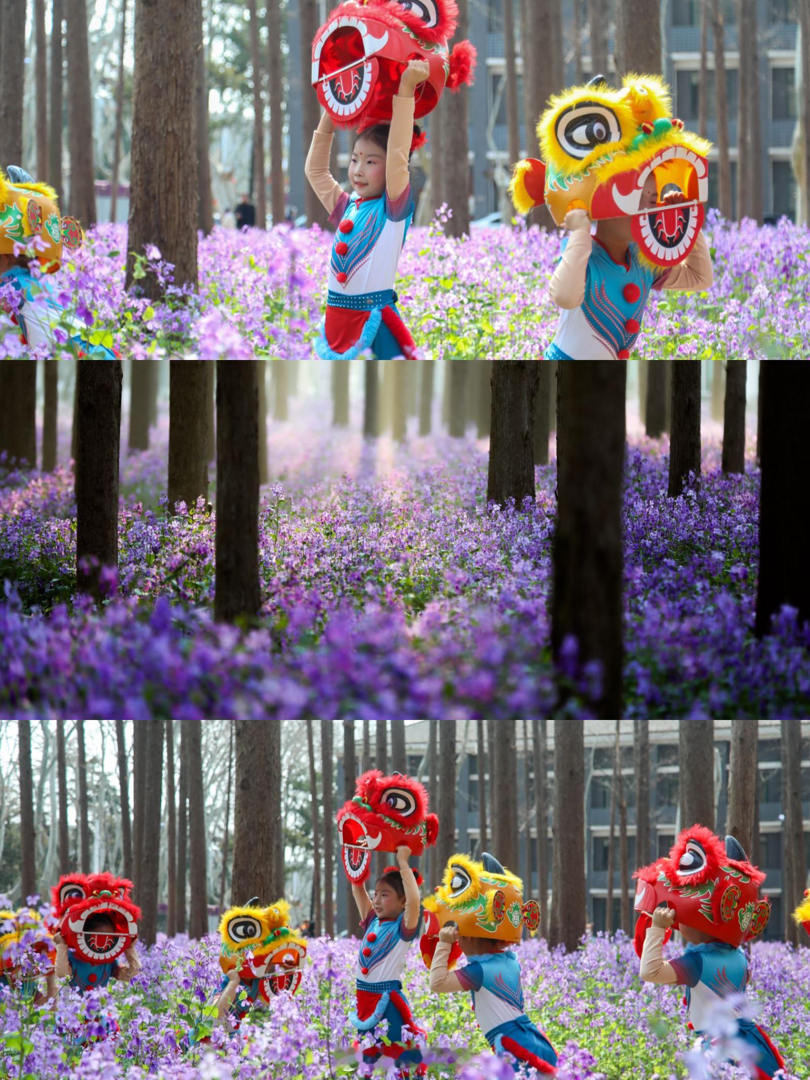 南理工的春天绝绝紫 真的被南理工的二月兰美到失语！一整片紫色花海，走进去就像掉进