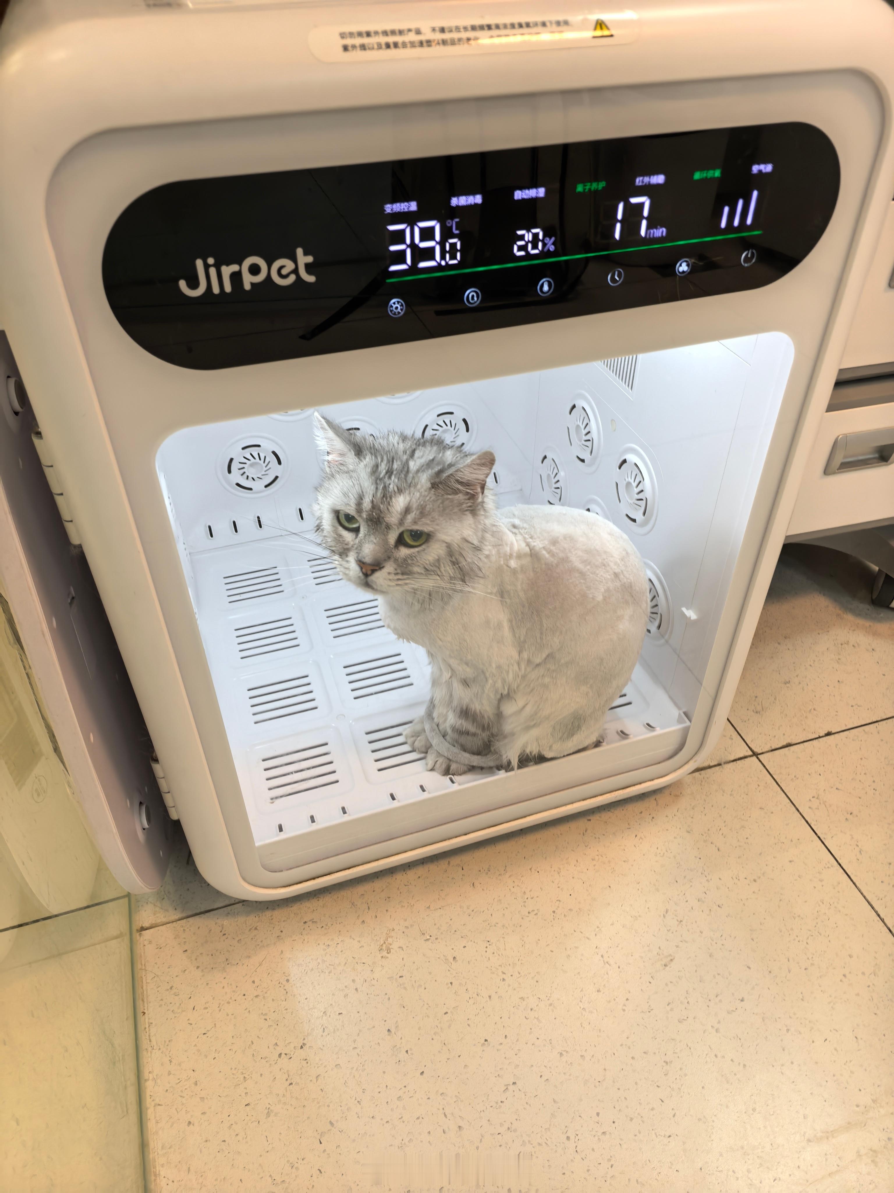 剃！猫日常吸猫  ​​​