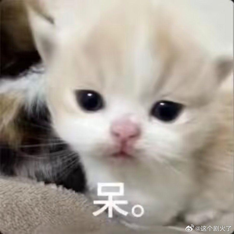 表情包| 小可爱出现～新年迎喜番