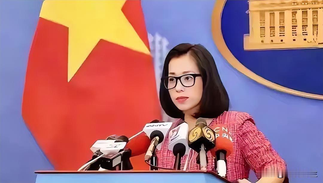 越南就台海问题正式表态，谁来了都没用，留给高市的时间不多了最近台海局势有点风吹草