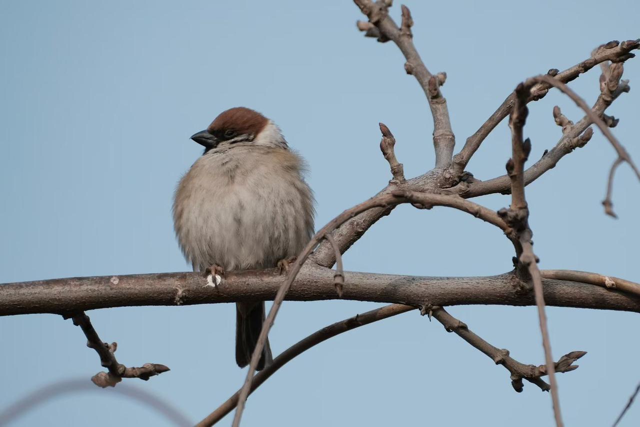 幸福应该是自己的感知，你能从某件事情中得到满足和快乐，你就会有瞬间的幸福感受。