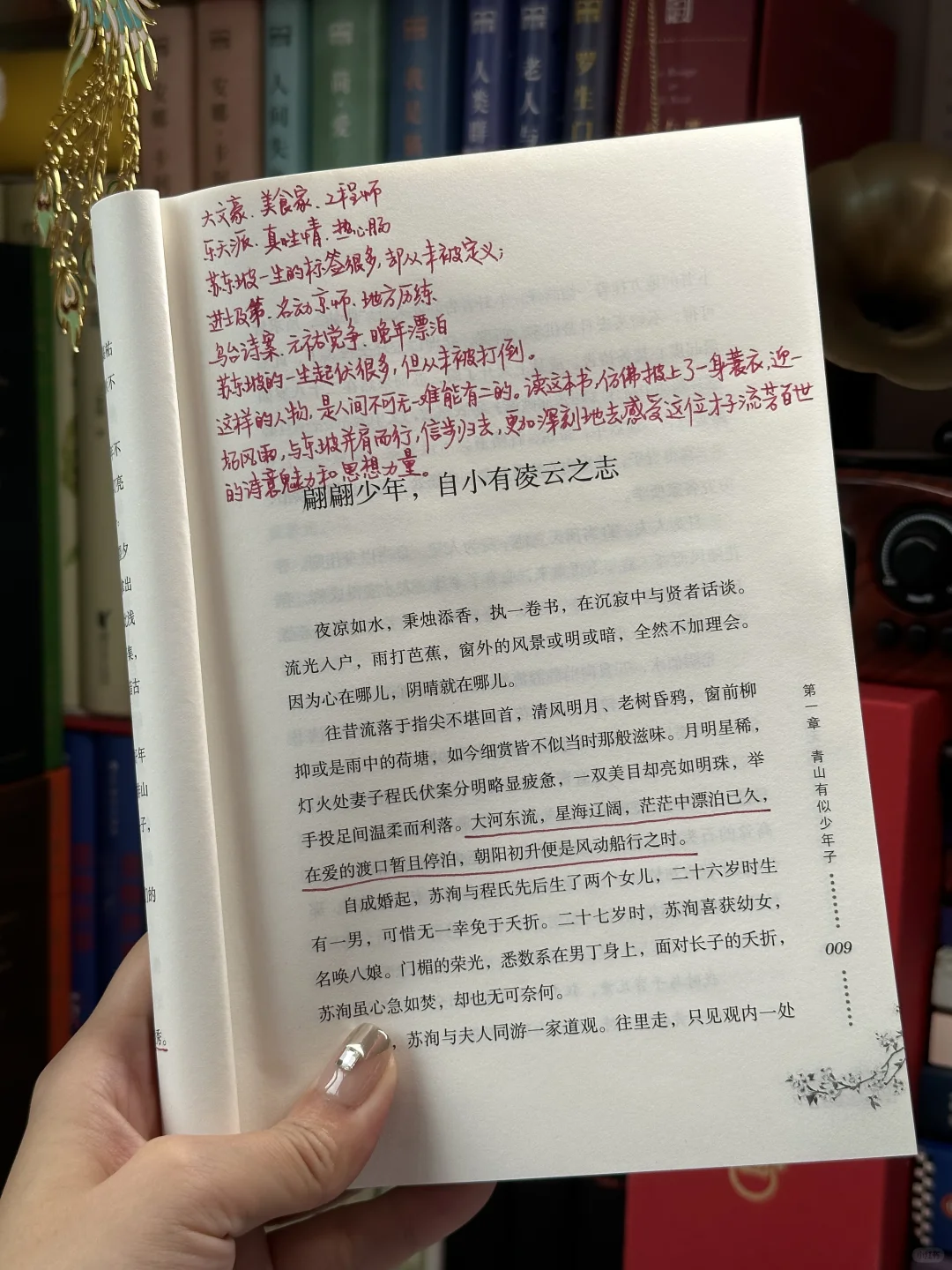 人生如逆旅，幸好还有苏轼～