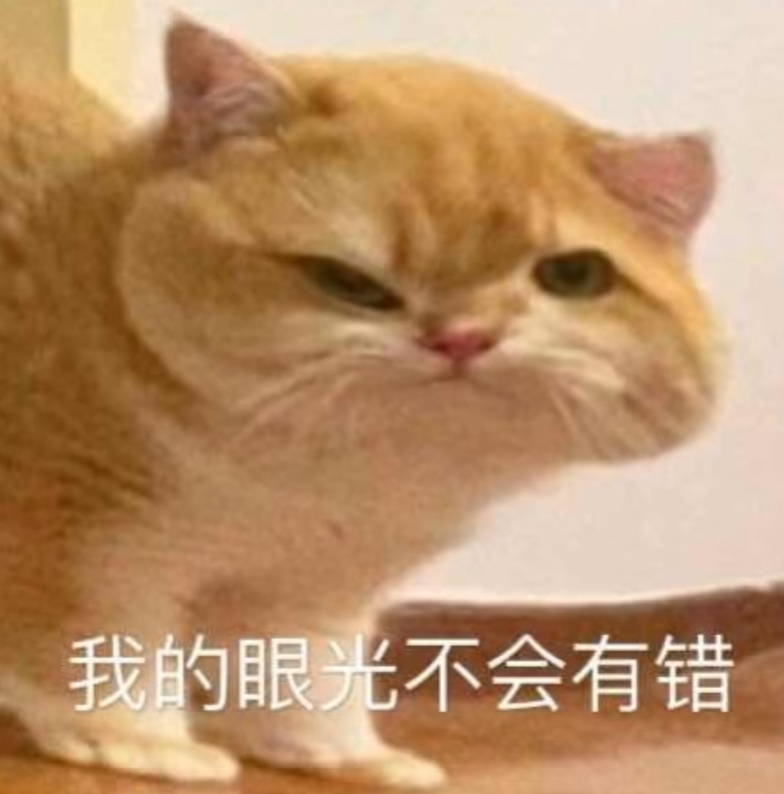 昨天投屏看星际迷航，看了五分钟画质一直很糊，因为迷信好莱坞，以为是复古效果来安慰