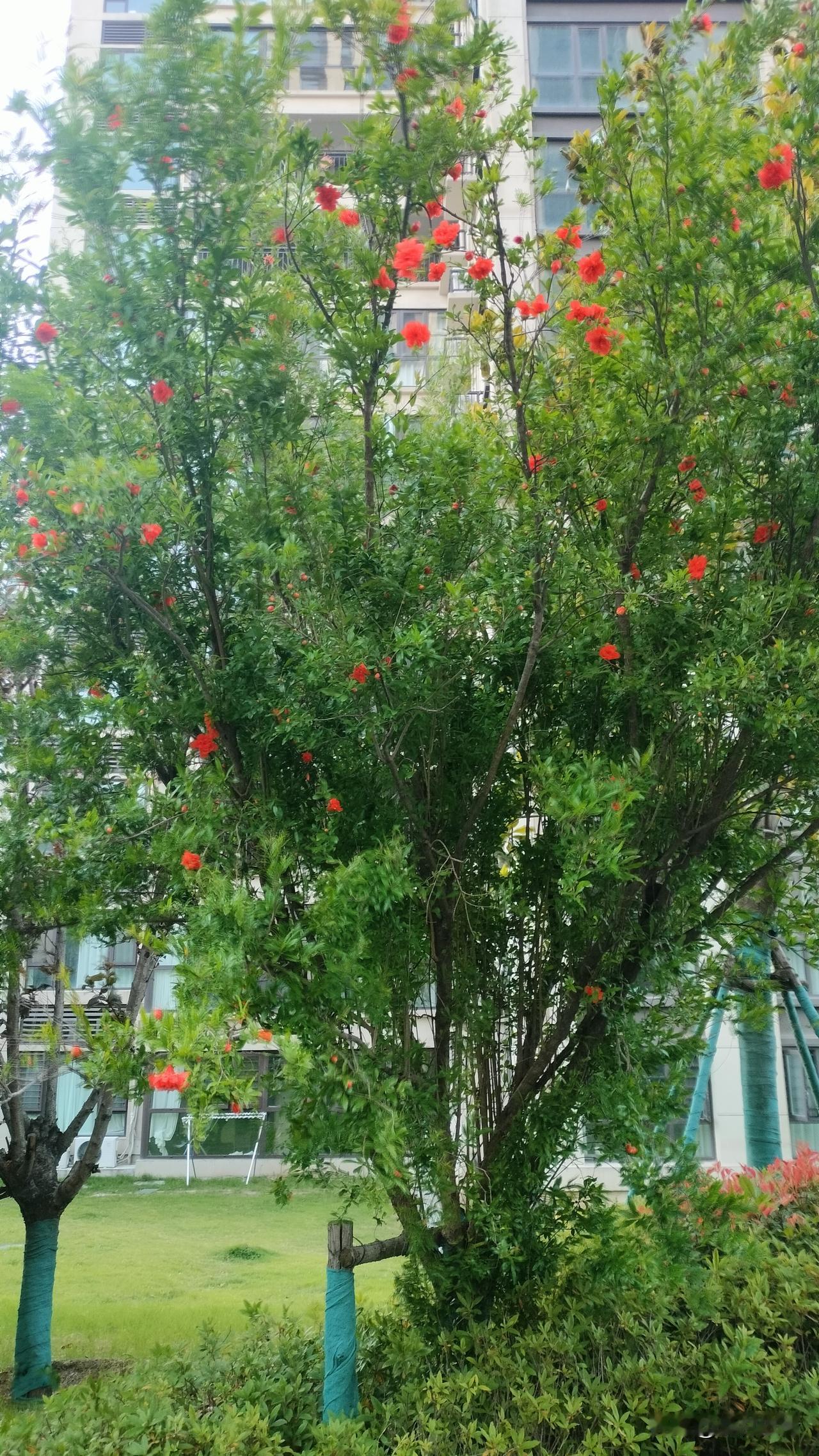 在育儿观念上，我和队友之间存在着严重的方向偏离，永远无法沟通！只要开个头，接下来