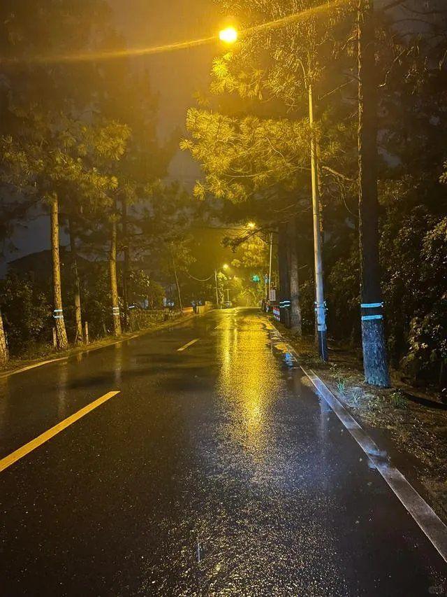 就偏爱宅在家里的日子，打心底里抵触那些没意义的社交，不用迁就谁，不用勉强自己搭话