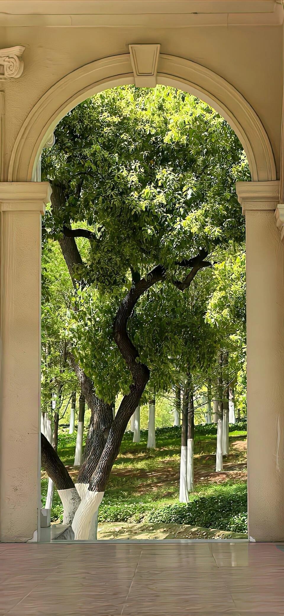 𝑺𝒉𝒂𝒓𝒆丨超绝ins风壁纸 