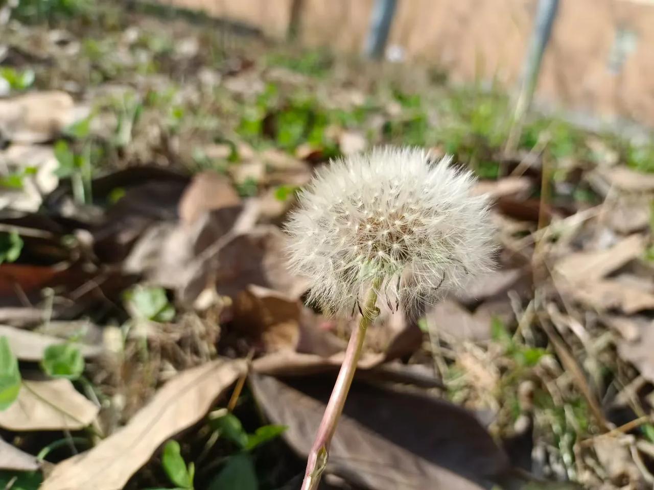 人性最大的善良

                               