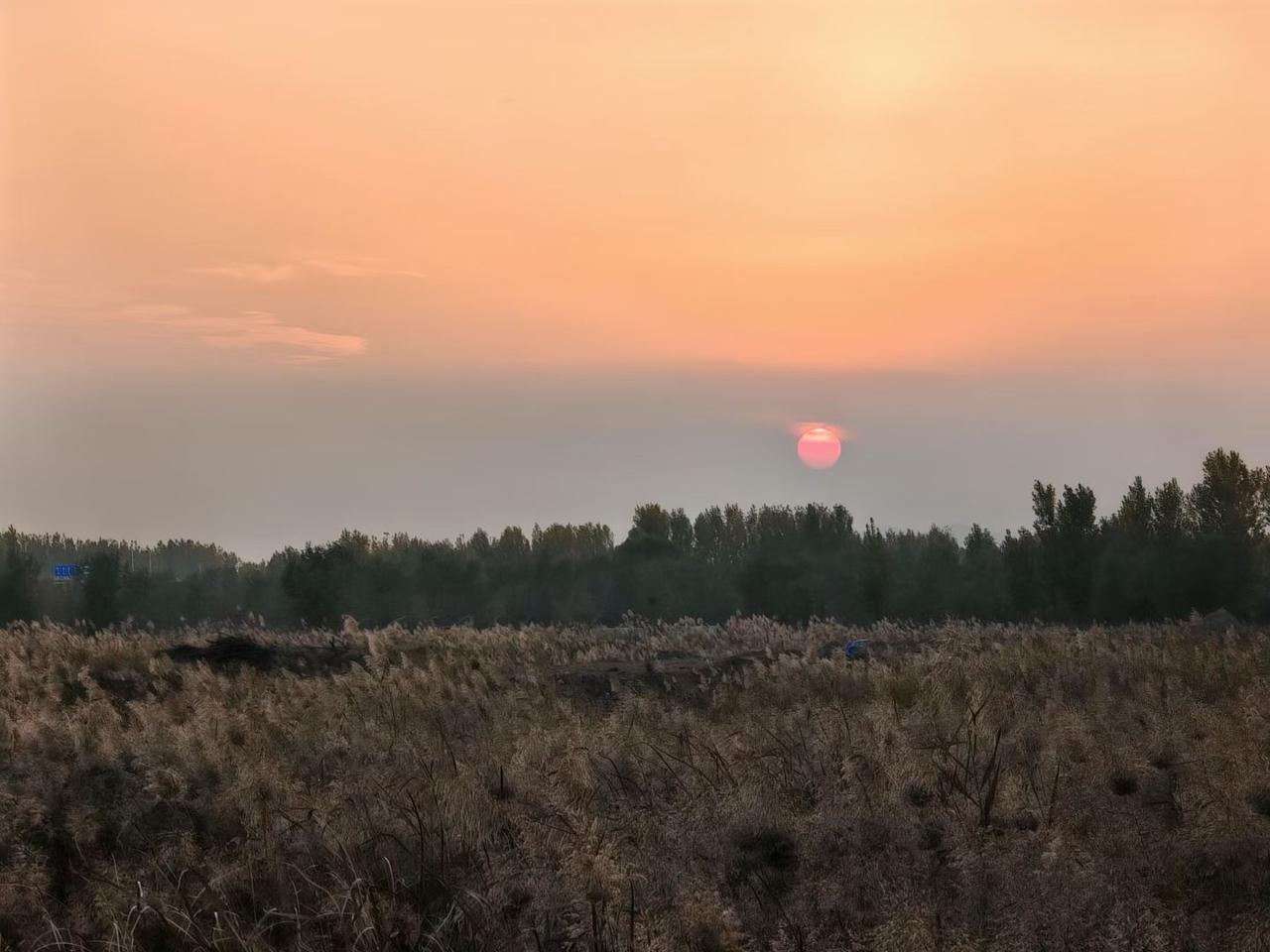 你会坚持每天更新作品吗？