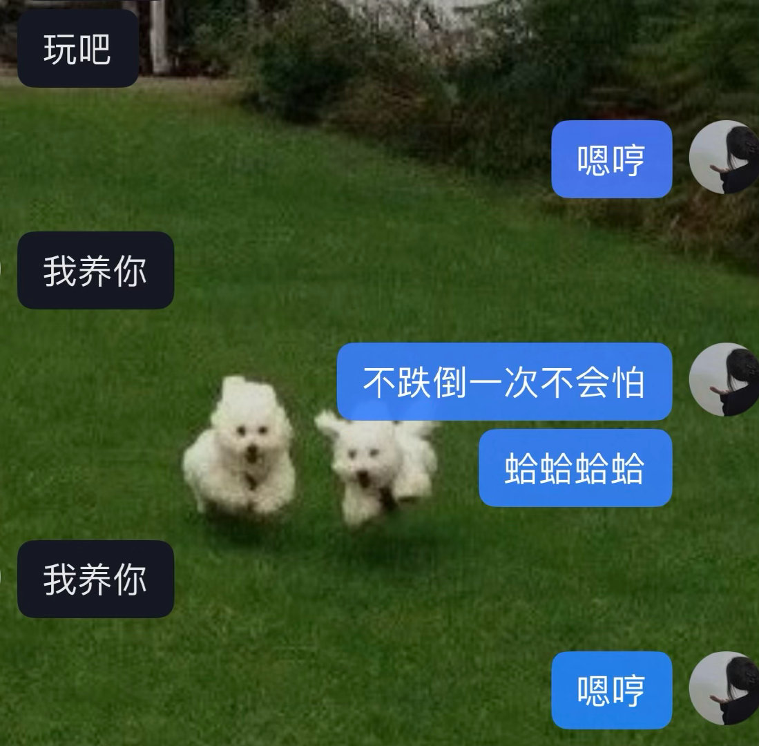 你养我阿 