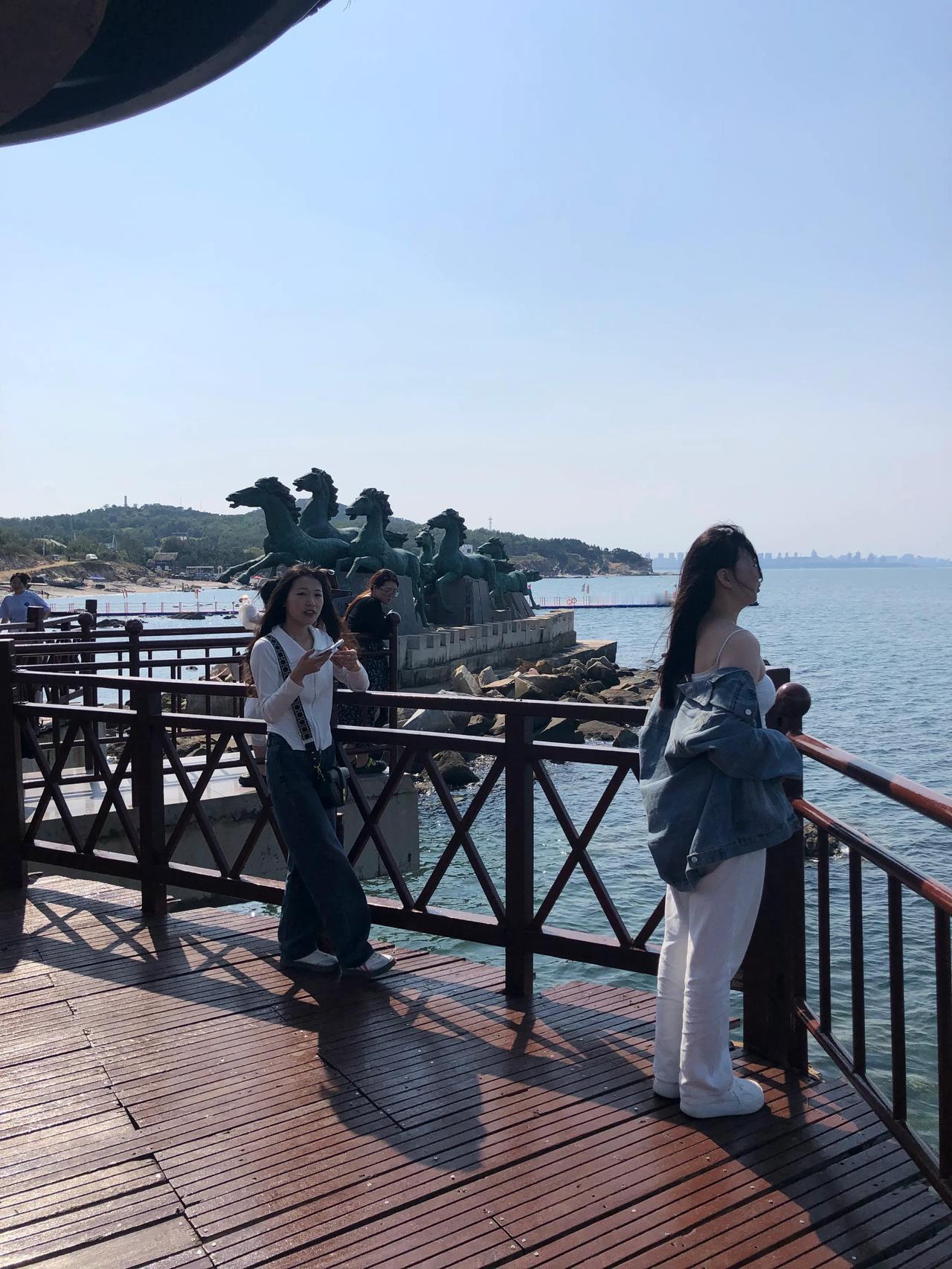 美丽的倩影
大海的无垠
青春的华发
朴素的装束