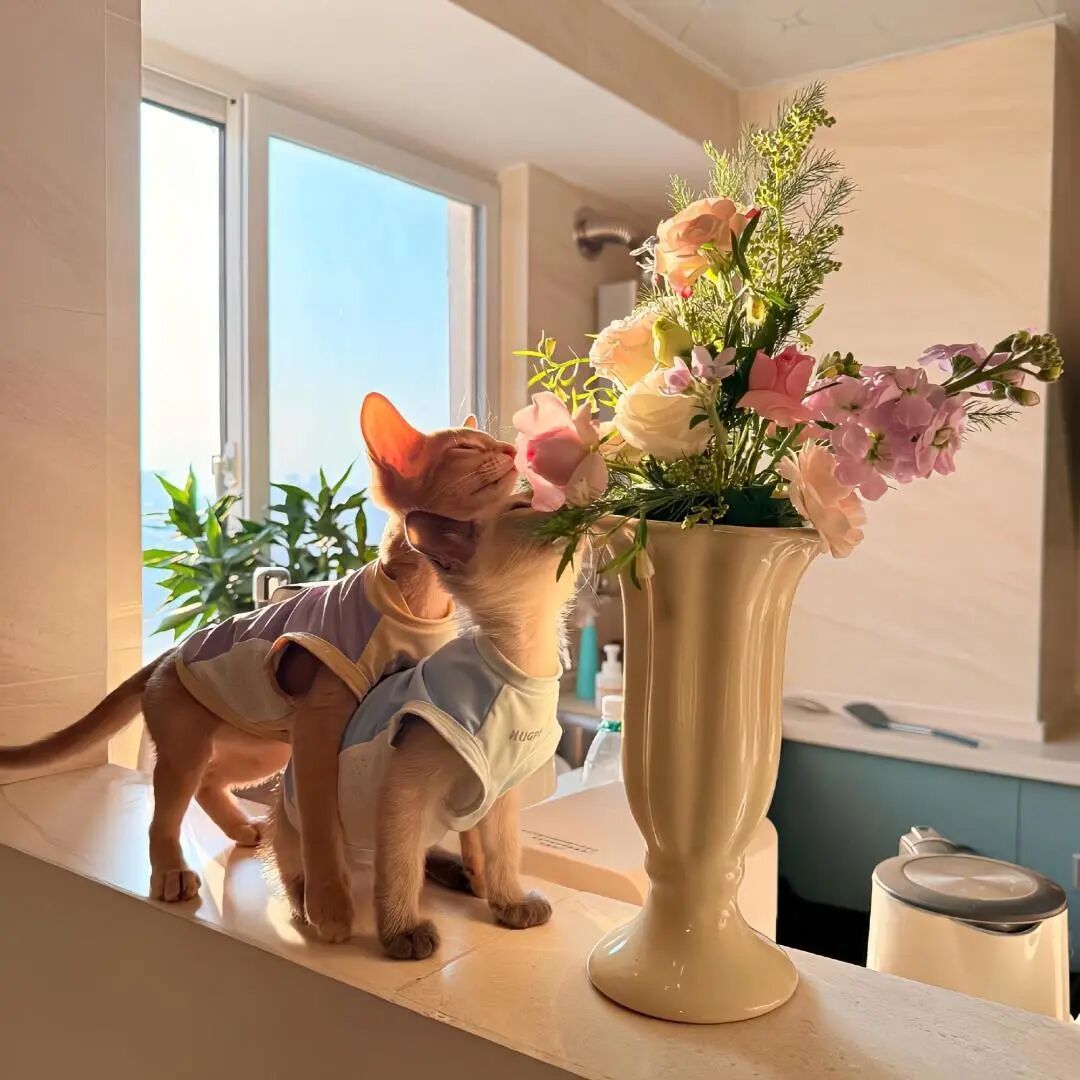 心怀期待，万事皆可期待，万物皆可爱 