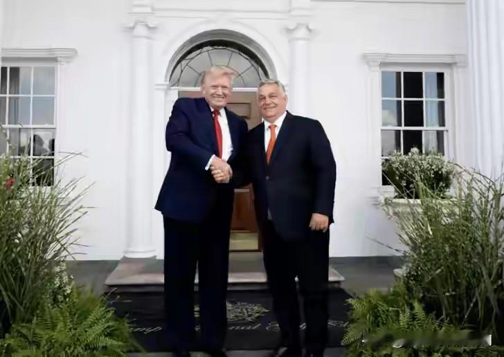 特朗普的“和平委员会”活成了国际笑话，19个创始国凑不出一桌参会的，唯有匈牙利跳