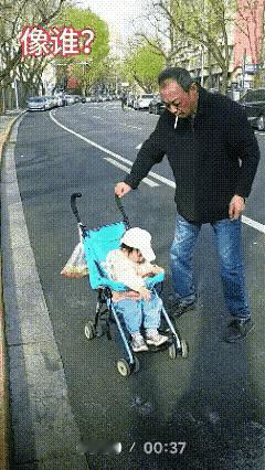 今早看到了一场爷孙之间的"较量"，最后爷爷败给了小推车上的小孙女。

事情是这样