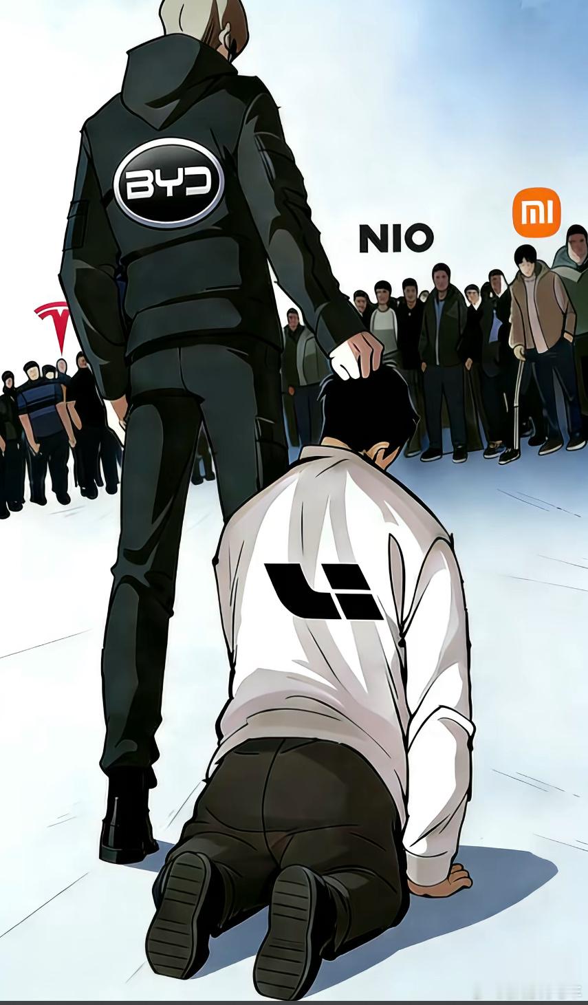 不是虽然比亚迪是拳打特斯拉 脚踢新势力 但是我心爱的理想同学招谁惹谁了 为啥是最