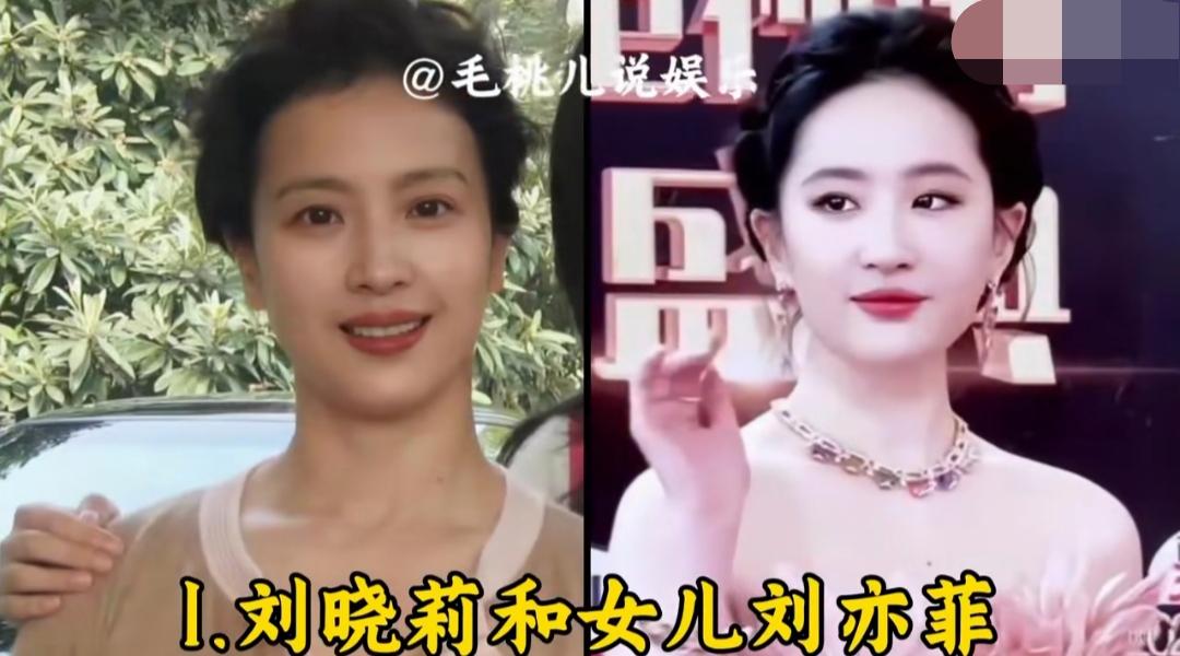 盘点10对同为演员的明星母女。优良的基因代代传承，眉眼之间藏着相似的神韵。母亲惊