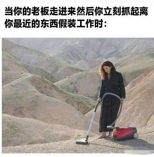 当你的老板走进来哈哈哈哈搞笑图片梗图合集