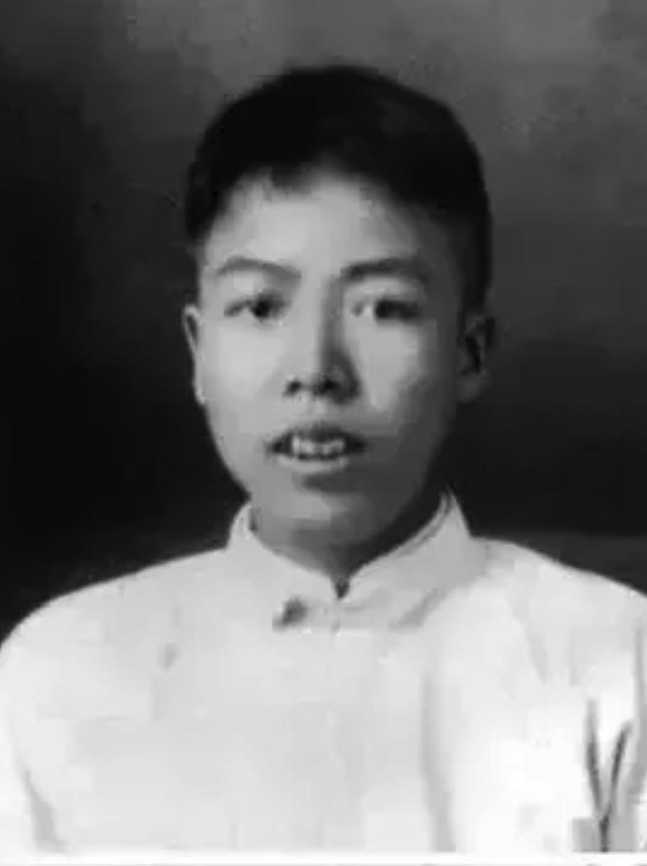 1951年，浙江老农执意掘开儿子坟。旁人急劝：“使不得！”他颤声应：“我得找真相